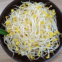 싱싱하고 아삭한 나주 두리 콩나물, 나주 콩나물 1kg, 1개