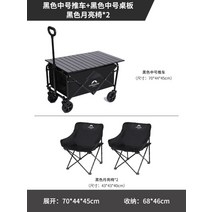 손잡이 웨건 웨건 접이식 캠핑 캠핑용 트롤리 카트 콜맨웨건 소형 광폭 손수레 수납가방, S