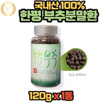 국내산 한평 부추 정구지 분말 가루 환 120g X 1통, 1개