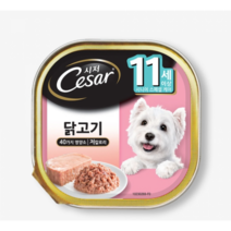 시저 반려견 주식캔 시니어 11세 이상 닭고기, 닭, 100g, 8개
