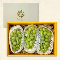 추석선물 영동산지 샤인머스켓 거봉 선물세트, 유명산지 샤인머스캣 선물세트 2호, 1개