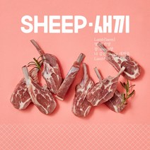 (익일도착) 3개월미만 새끼 양갈비 -<특가> 최상급 숄더랙 SHEEP새끼 어린양 캠핑양고기 쉽새끼 캠핑양갈비 캠핑양고기 2인기준 (소스4종무료)” class=”wr-img”></a></div>
</p></div>
</p></div>
</p></div>
<div class=