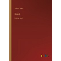(영문도서) Babbitt: in large print Paperback, Outlook Verlag, English, 9783368308940