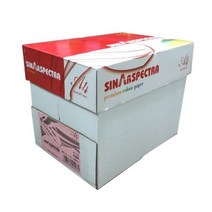 스펙트라 색지 A4 80g 복사용지 1BOX 2500매 _ 49049EA, A4 노랑