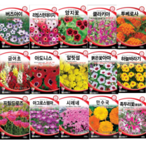 봄꽃 겹꽃 아마 부용화 아마 수국 세이지 아욱 플록스 국화 접시꽃 데이지 양지꽃 나팔꽃 사루비아 풍접초 투베로사 아도니스 클라키아 채송화 장미 봉선화 해바라기 꽃잔디 씨앗, 버즈아이