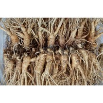 실속형 수삼 5년근 인삼 12-15뿌리 (오쿠용 홍삼용 실속인삼), 가정용난발삼1kg (15-18뿌리)
