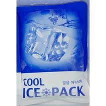 램원 아이스팩(단독구매불가), 1개