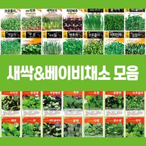 각종 새싹 베이비채소 씨앗 모음, 13.새싹알팔파, 1개