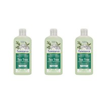 Natessance 나떼쌍스 티트리 밸런싱 앤 퓨리파잉 샴푸 250ml x 3팩