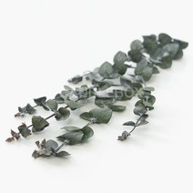 블랙잭유칼립투스 드라이플라워 프리저브드 말린꽃 핸드메이드 diy 플랜테리어, 단일옵션