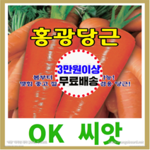 [OK씨앗] [홍광당근] 당근씨앗(오케이씨앗), 80g.