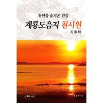 천년을 숨겨온 진실 계룡도읍지 천시원, 창조와지식(북모아)