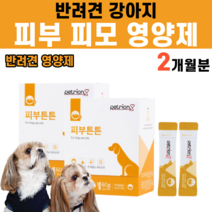피부 피모 강아지피부 강아지 댕댕이 멍멍이 개 반려동물 반려견 털빠짐 낙산균 고초균 발효홍삼박 비오틴 아연 비타민A 모질 포도당, 2박스