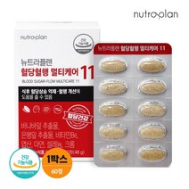뉴트라플랜 혈당혈행 멀티케어 11 1박스 바나바잎 은행잎 혈당관리 혈액순환 영양제, 1개, 단품