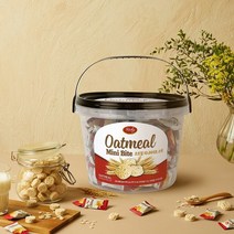 리치 오트밀 미니바이트, 1개, 450g