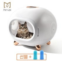 Pet Life 펫드라이룸 항온고양이집 저소음 쓰다듬다 창구 한국표준플러그 건조 강아지 드라이기 PLHG-03, 골드