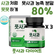 풋사과 농축분말 애플페논 고함량 풋사과 다이어트 HACCP 인증, 3개(3개월)