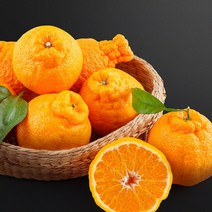 천하일품 명품 한라봉 천혜향 청견 카라향, 1박스, 03.한라봉 3kg 대과(5-8과)