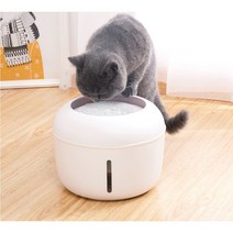 네이처펫 고양이 정수기 물통 급수기 자동 간편세척 필터25L, 민트