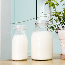 디시위시 무지 밀크보틀, 200ml, 1개