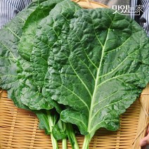 [산지직송]전남 담양 김상식님의 유기농 케일 1~3kg (즙용 케일), 01번 케일 1kg, 상세설명 참조