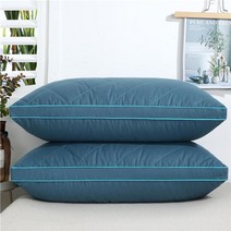 목디스크에 좋은 베개 경추 거북 목 주름 방지 교정 경침 베개 힐튼 호텔 잠자는 자궁 경부 5 성급 호텔 침대 학생 싱글 성인, 파란색 - 양측, 600g 1개