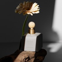 [1+1] 르몽도르 차량용 방향제 차량방향제 고급차량용디퓨저 자동차디퓨져 50ml 새차 신차선물, 레더50_일랑일랑