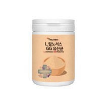 프랑스산 L 람노서스 GG 유산균 가루 분말 230g 신 포스트바이오틱스 3세대유산균 멀티 프로 프리 바이오틱스 프락토올리고당 대사산물 락터바실러스 람노서스gg 장건강, 3통