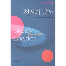 천사의 분노, 범우사, 시드니 셸던 저/황보석 역