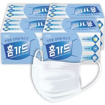 홈가드 국내생산 3중 MB필터 일회용마스크 대형 200매, 4박스, 50매