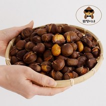 밤탱이네 프리미엄 약단밤1kg- 칼집밤 군밤 알밤 황금밤 생밤 햇밤 에어프라이어밤, 1개, 5kg