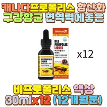 플라보노이드 액상 스포이드 비 캐나다 프로폴리스 예비 신부 와이프 아내 신랑 남편 장모님 장인어른 시어머니 시아버지 외할머니 외할아버지 할머니 할아버지 엄마 아빠 어머니 아버지 부모님 여성 여자 영양제