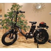 Lafly - 20x4.0 인치 접이식 전기 자전거 1000W 48V 15Ah 중립 해변 눈 자전거., 01 black, 01 250W  Motors
