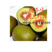 (비타민C가득한) 제주산 레드키위 1kg 중과 무료배송!!, 1개