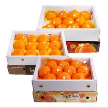 농협공판장 정성드린 제주 과일세트(한라봉3kg10과내+천혜향3kg10과내+레드향3kg10과내)