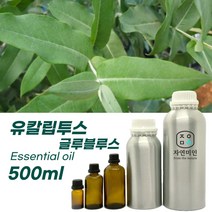 대용량 100% PURE 천연 허브 효능 효과 아로마 원액 에센셜 오일 -500ml 모음, 유칼립투스-글루블루스500ml