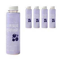 팜79 너의하루 블루베리 가루 5p, 5개, 250g