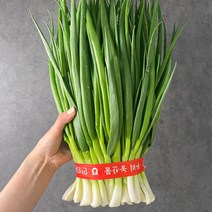 깐쪽파 흙쪽파 1단 양념채소, 1Box, 깐쪽파 (가랑파.실파)1단 (1kg내외)