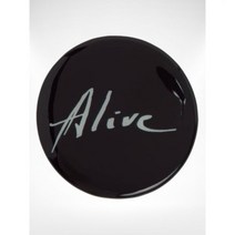 ANN DEMEULEMEESTER 검정색 모델 엘스 장식형 브로치