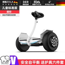 호버보드 전동휠 전동보드 투휠보드 성인용 출퇴근용 킥보드 퀵보드 왕발통, 옵션1, 54v