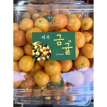 제주 금귤 낑깡 500g 1kg, 1팩