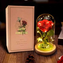 졸업선물 입학선물 집들이 선물 해바라기 유리돔 무드등 인테리어 장식 생일 미녀와야수, W