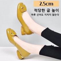 베이직 몰드창 쿠션 플랫 펌프스 각선미 펌프스 2.5cm
