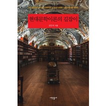 현대문학이론의 길잡이:국내 영문학자가 쓴 현대 문학이론 소개서의 결정판 이제 번역서를 버려라, 시인동네