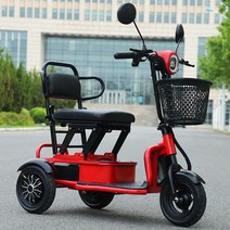 삼륜전기자전거 효도바이크 노인자전거 전기자전거 전동자전거 어르신자전거, G. 레드  15Ah / 약 60km, 48V
