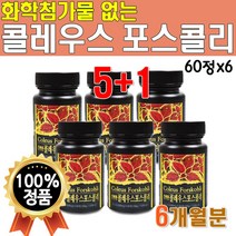 식약처 수입신고확인증 콜레우스 포스콜리 추출물 분말 가루 60정x6통 6개월분 대용량 화학 첨가물 없는 츄어블 먹는 콜레우스포스콜리정 타블렛 코레우스 콜래우스 폴레 우스 포스콜린