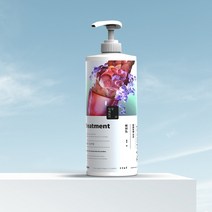일상팩토리 트리트먼트 1000ml 대용량 단백질 헤어팩, 1000ml x 1개