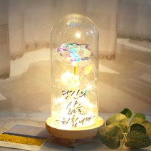 발트728 문구제작 홀로그램장미 기념일 선물 LED유리돔 글라스돔, 작은아이/홀로그램장미/별도문구제작(폰트4)