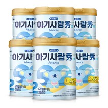 뉴 아기사랑 수 분유 2단계 750g, 6캔