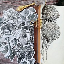 다꾸랩핑지 랜덤박스 레터링 스티커 엔틱 팩 빈티지 꾸미기 다이어리꾸미기 레트로, B타입